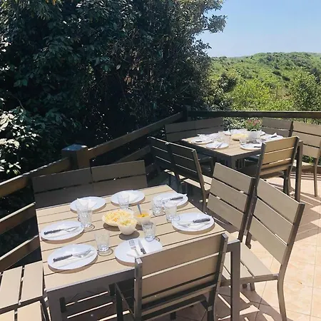 Panorama D'exception Sur Domaine Naturel Protégé Et La Proche Centre La Crête Des Dunes Maison Complète Ou Uniquement * Le Touquet